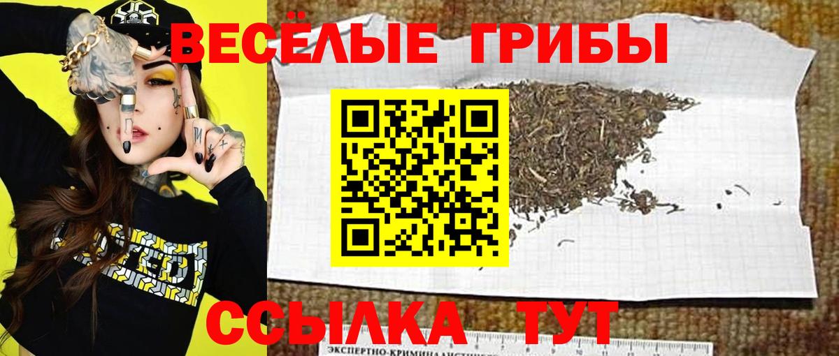 Галлюциногенные грибы Magic Shrooms Новокубанск