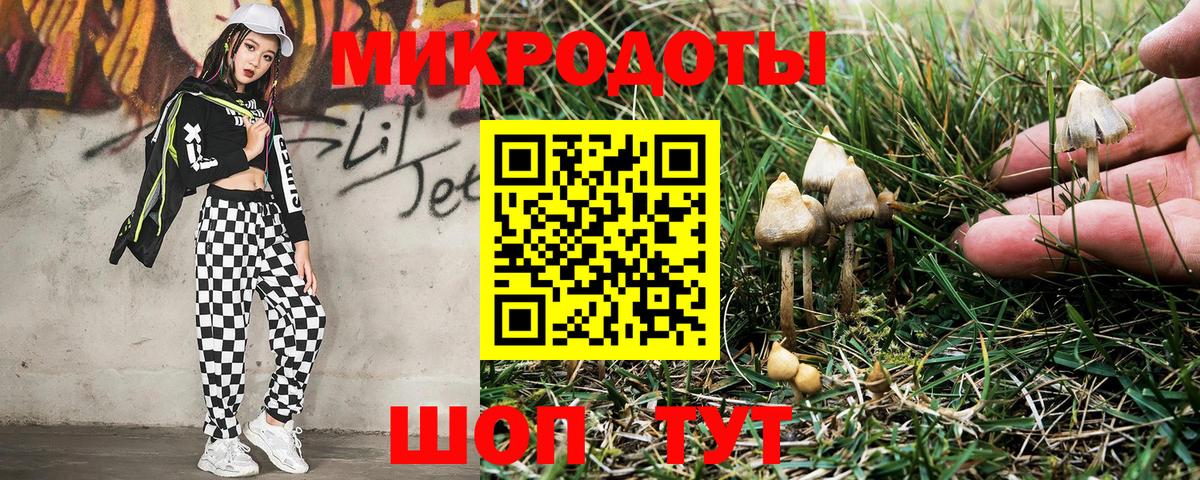 Новокубанск  Галлюциногенные грибы ЛСД  Вход с VPN  Галлюциногенные грибы Cubensis 